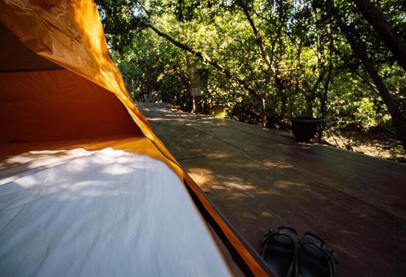 هاستل Posada Corazon Mazunte