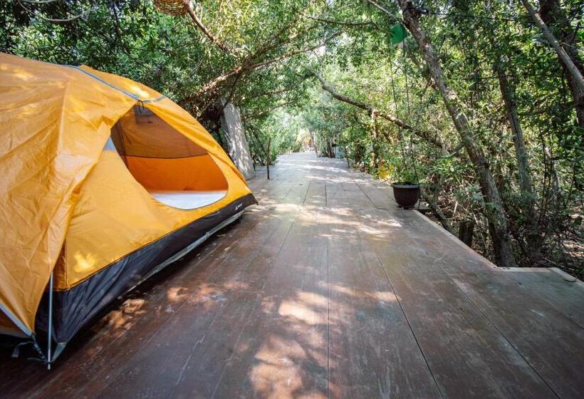 هاستل Posada Corazon Mazunte