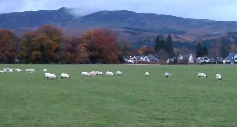 צימר Aquila Retreats