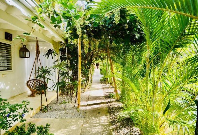 مبيت وإفطار Non Disponible