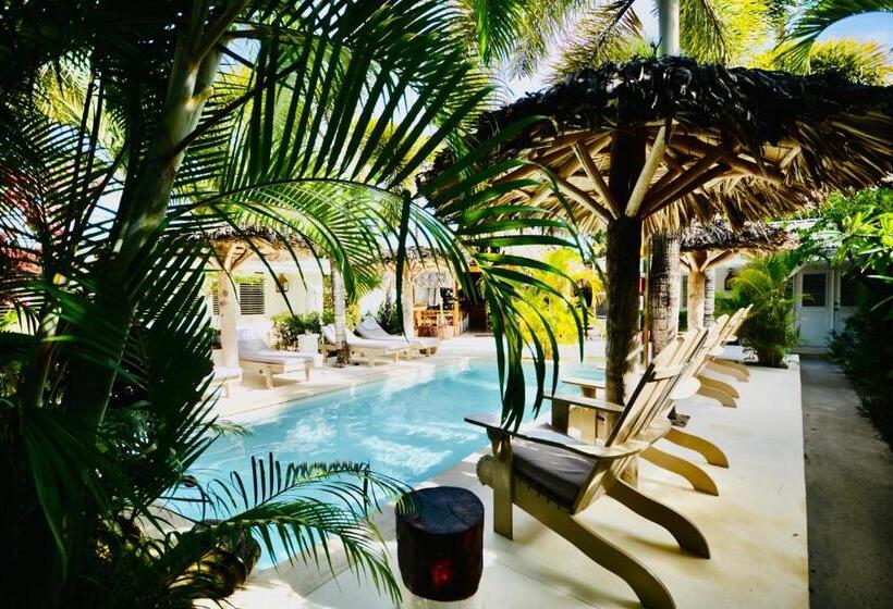 צימר Non Disponible