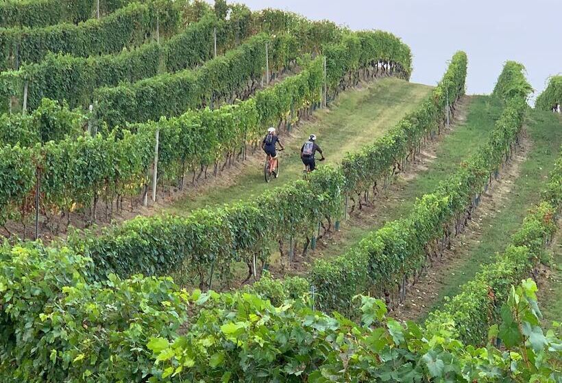 Bed and Breakfast Miravigne House Casa Di Campagna Con Cucina