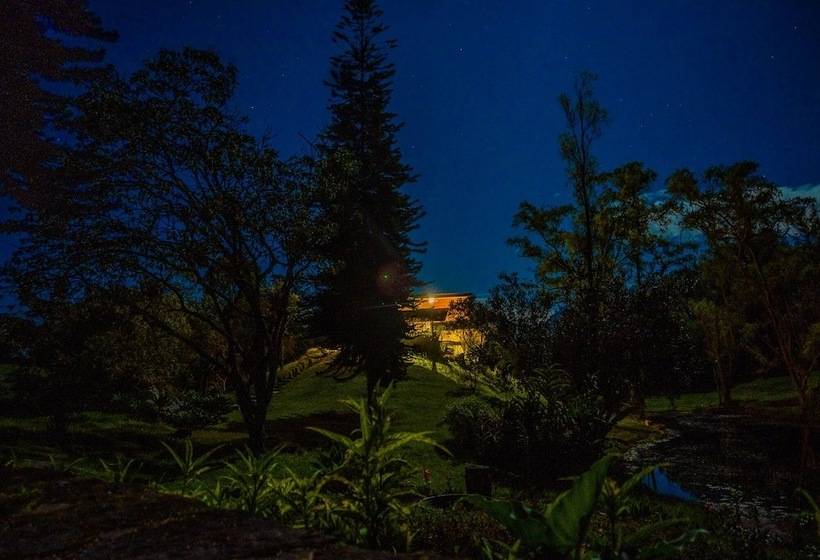 Отель Almazewá