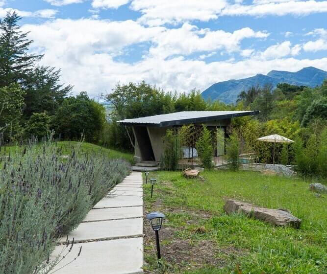 Отель Almazewá