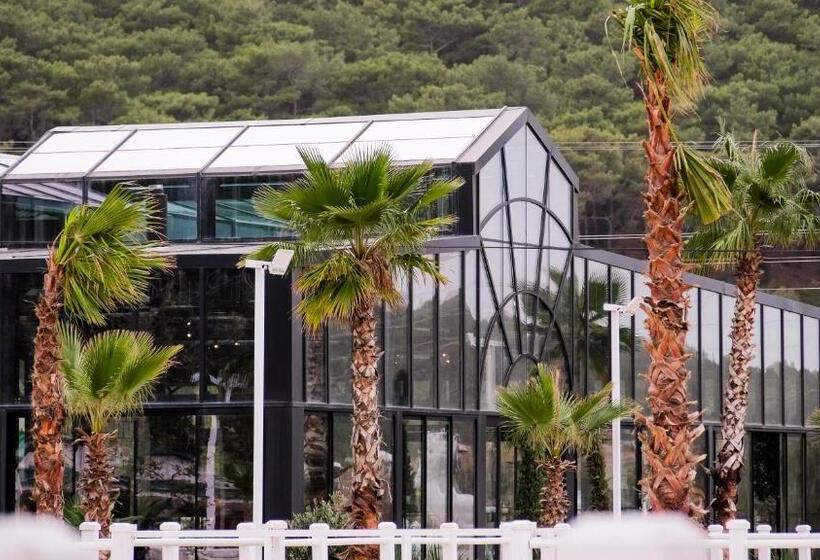 Отель Asha Country