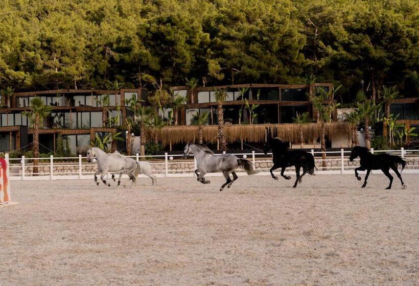 Отель Asha Country