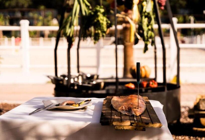 Отель Asha Country