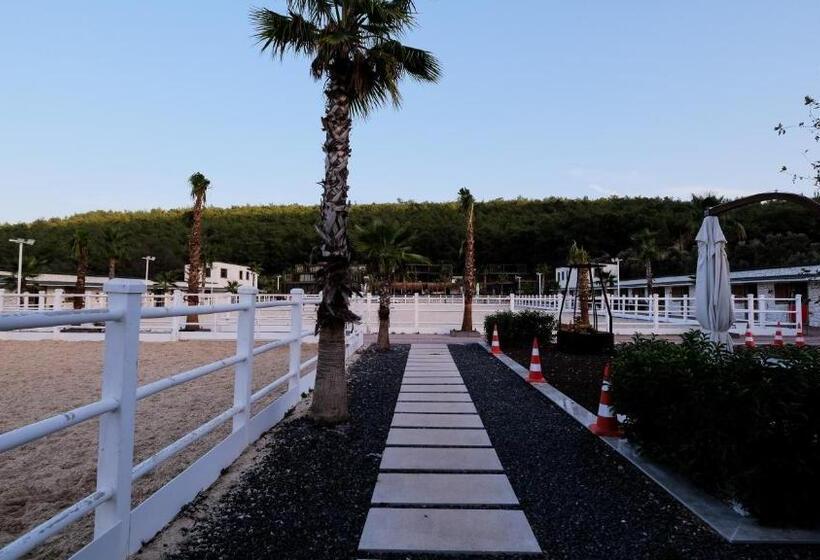 Отель Asha Country