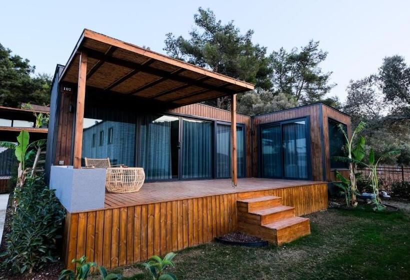 Отель Asha Country