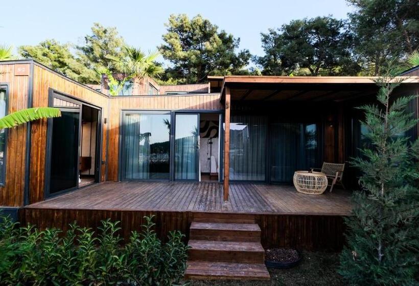 Отель Asha Country