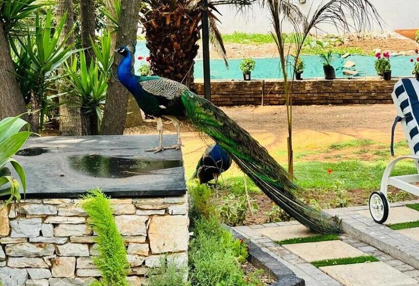 ホテル C Est La Vie Boutique