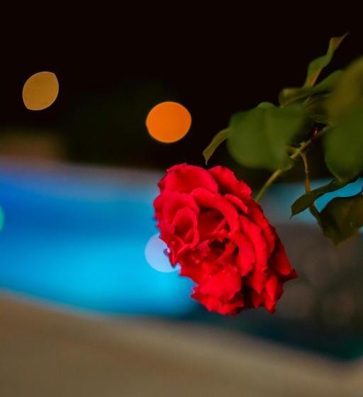 호텔 Cannatel Exclusive