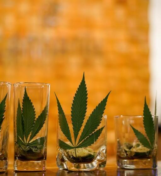 호텔 Cannatel Exclusive