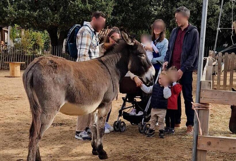 酒店 Chambre D Hôtes En Roulotte