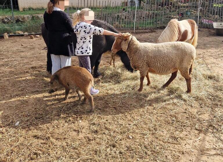 酒店 Chambre D Hôtes En Roulotte