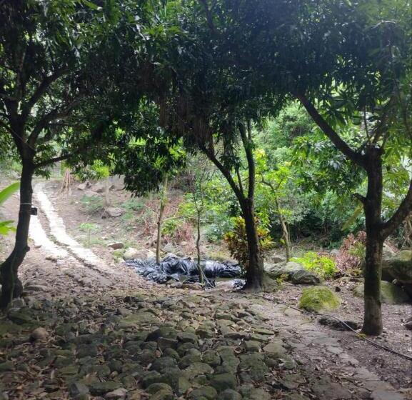 カプセルホテル Finca Villa Esther