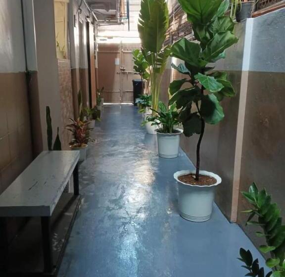 カプセルホテル Transient Washington Capsule Air Bnb