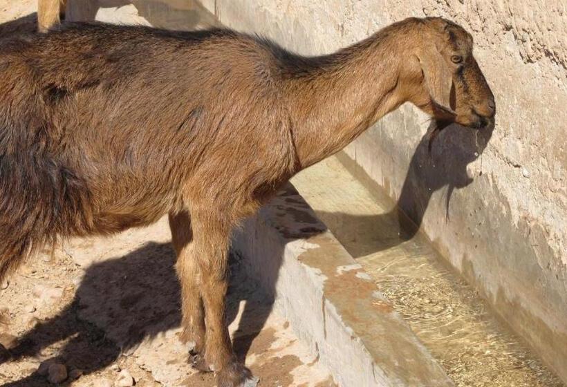 هتل Family Village Marrakech