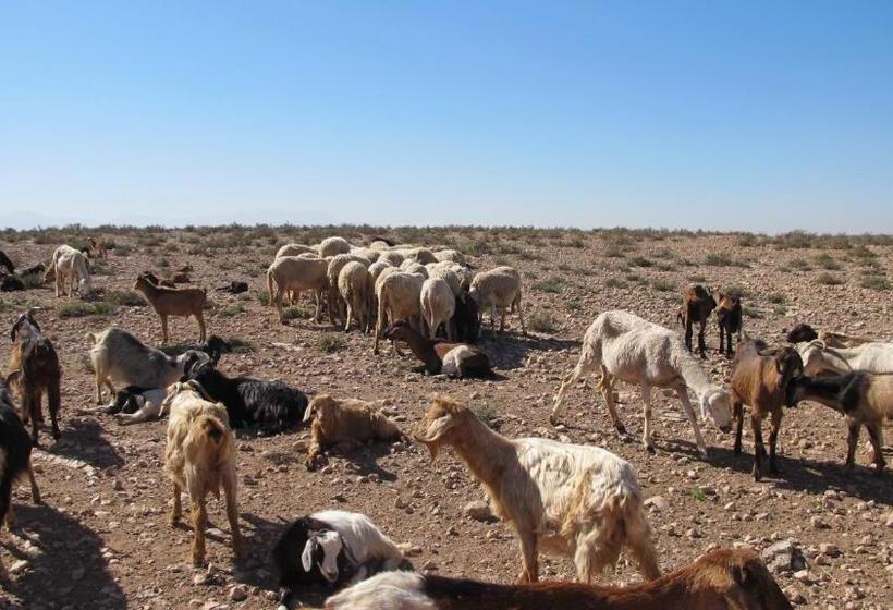 هتل Family Village Marrakech