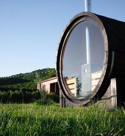 هتل Horizons Bakurtsikhe