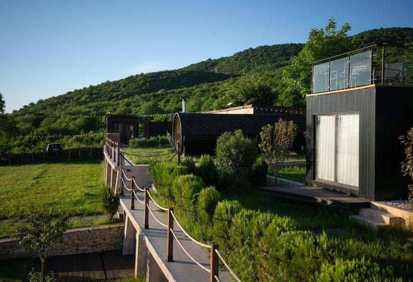 هتل Horizons Bakurtsikhe