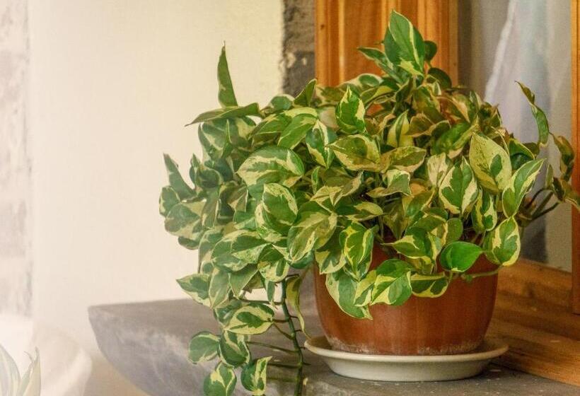 فندق Los Tarrales Natural Reserve