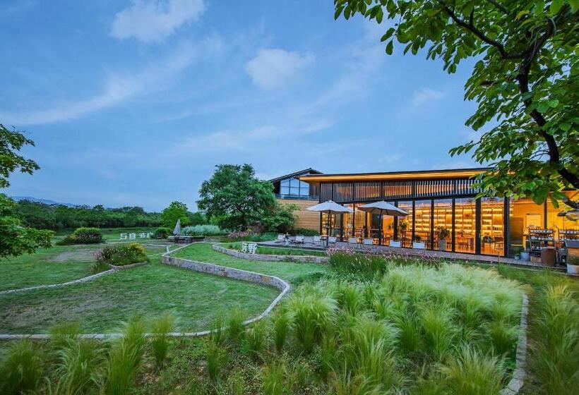 酒店 Mogan Valley Resort