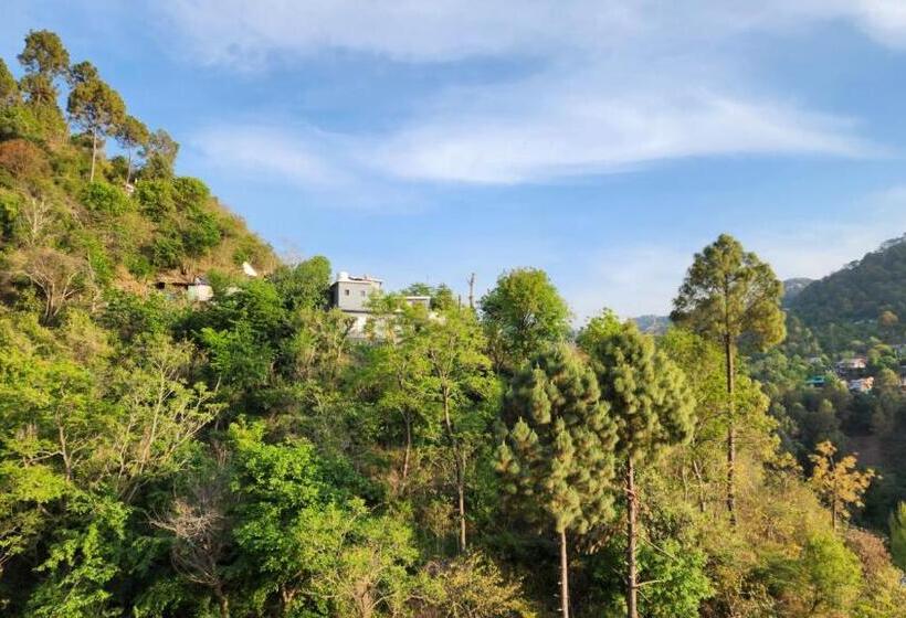 酒店 Royal Ark   Kasauli