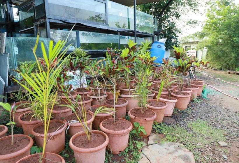 فندق Sound Rio Retreat Karjat