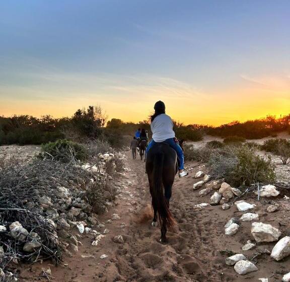 هتل Surfcamplagrotte