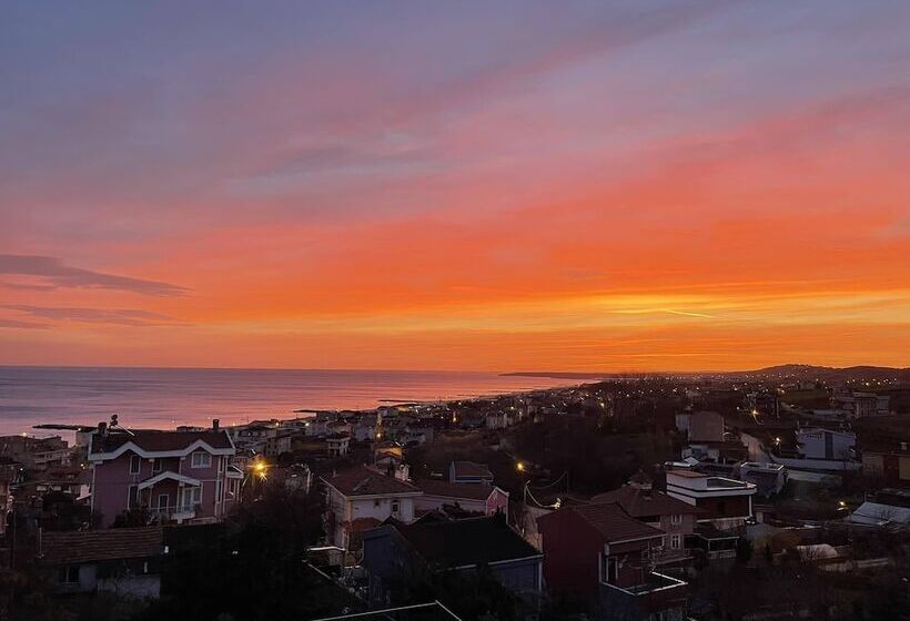 ホテル Treekos Suite