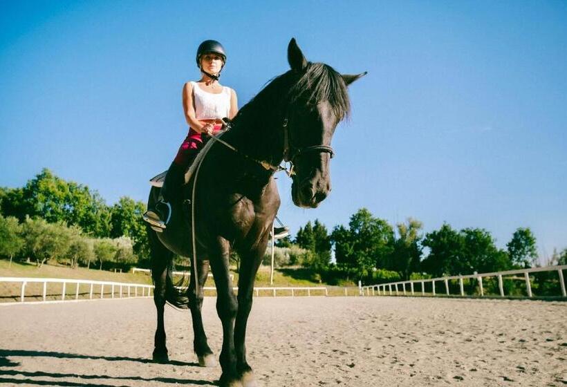 Isa Residence With Swimming Pool Surrounded By Tuscan Nature In San Donato Fronzano, Apartments With