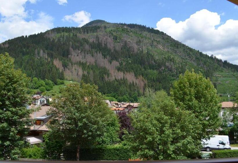 بنسيون Aria Alpina Guest House Affittacamere