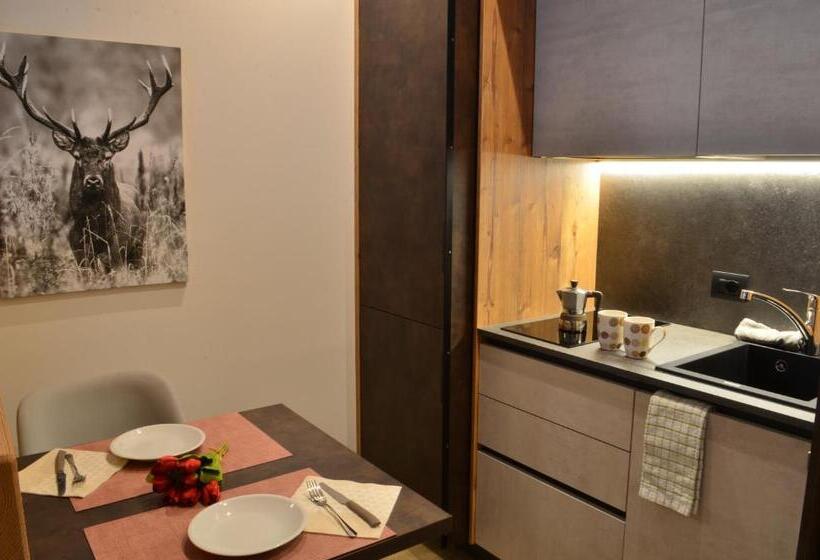 بنسيون Aria Alpina Guest House Affittacamere