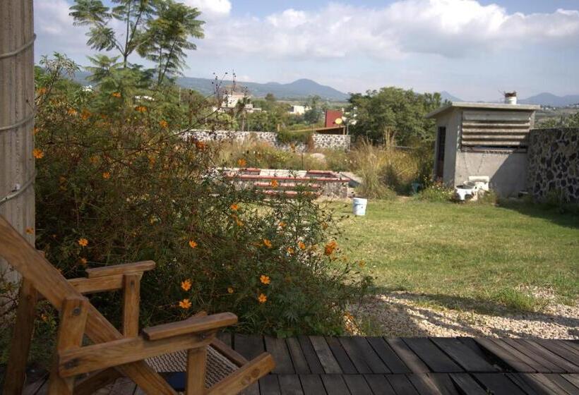 بنسيون Casa De Huespedes Colmena