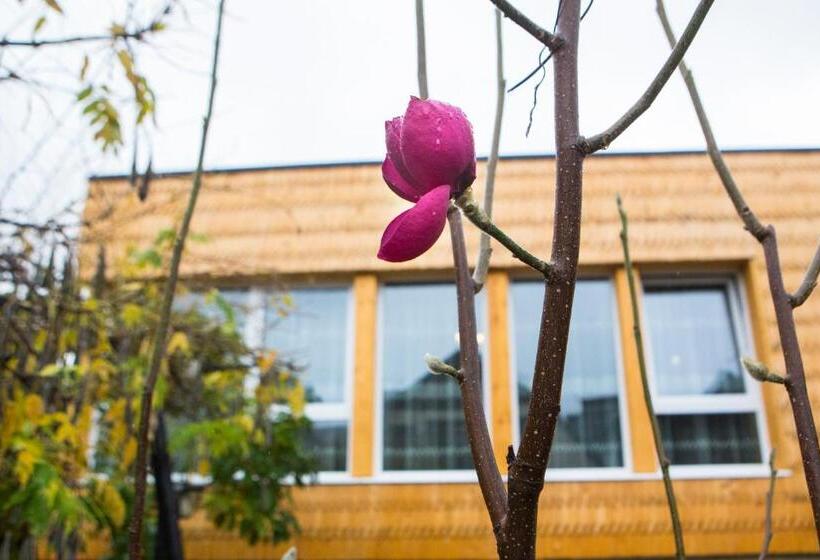 פנסיון Casa Cu Magnolii