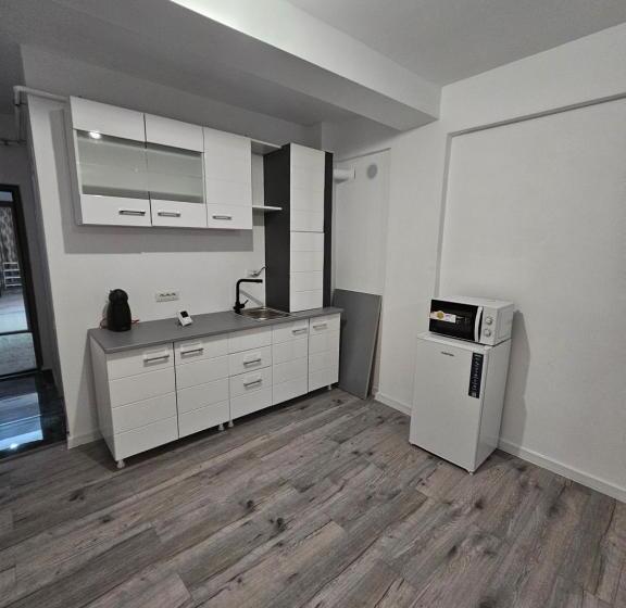 ペンション Didi Apartament