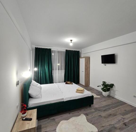 ペンション Didi Apartament