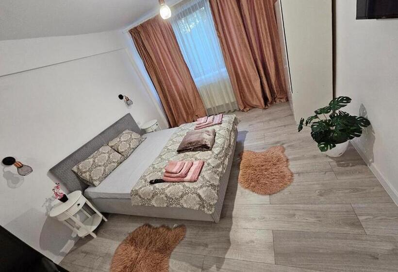 ペンション Didi Apartament