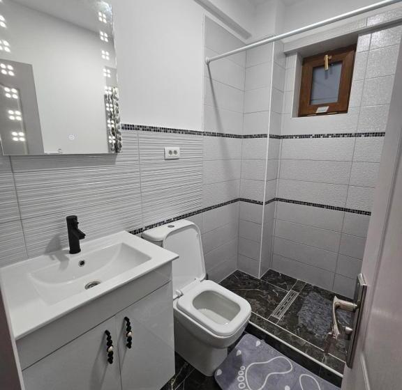 ペンション Didi Apartament