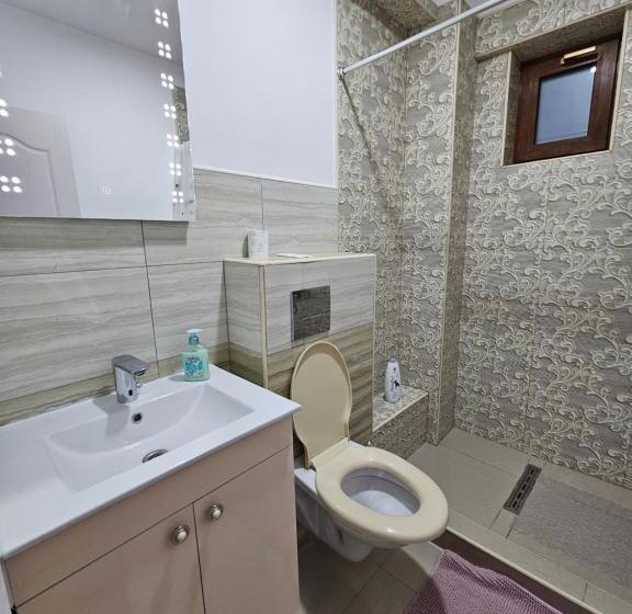 ペンション Didi Apartament