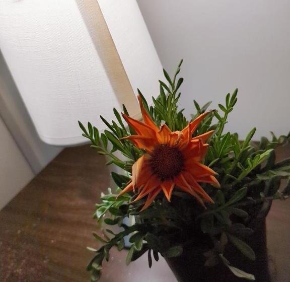 پانسیون Habitación Amplia En Santiago C3ntro