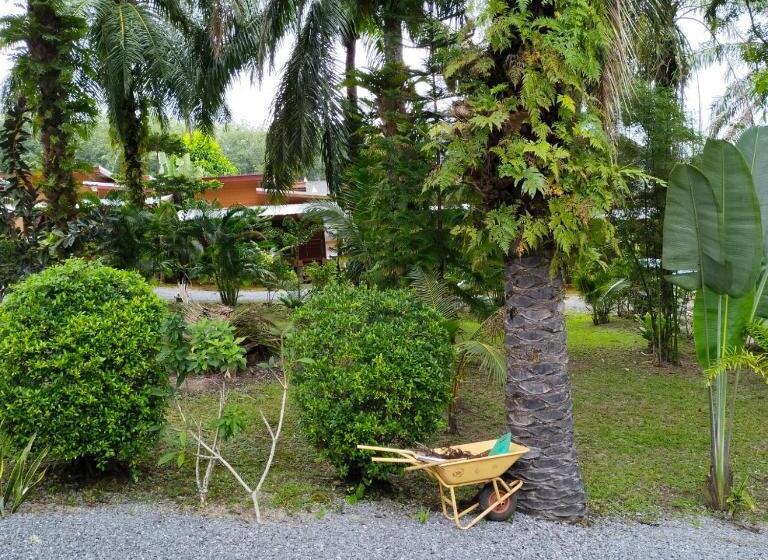 פנסיון Palm Tian Homes A2