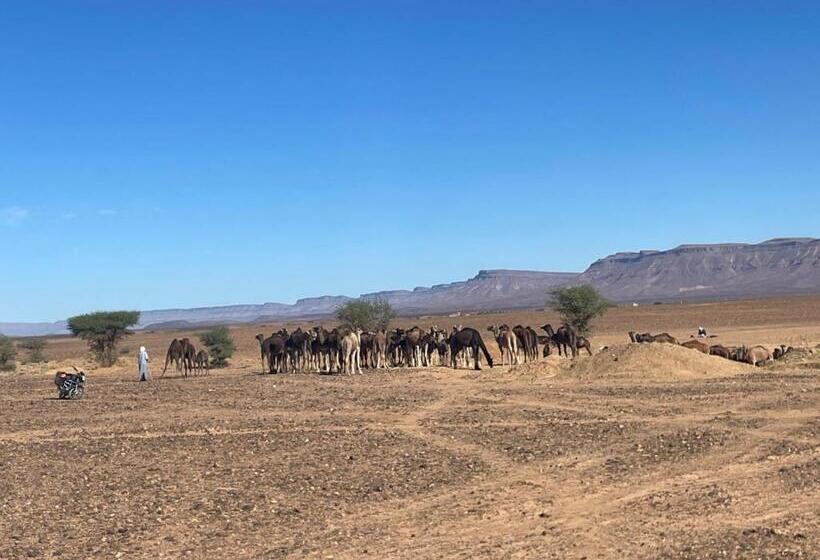 펜션 Riad Le Petit Jardin