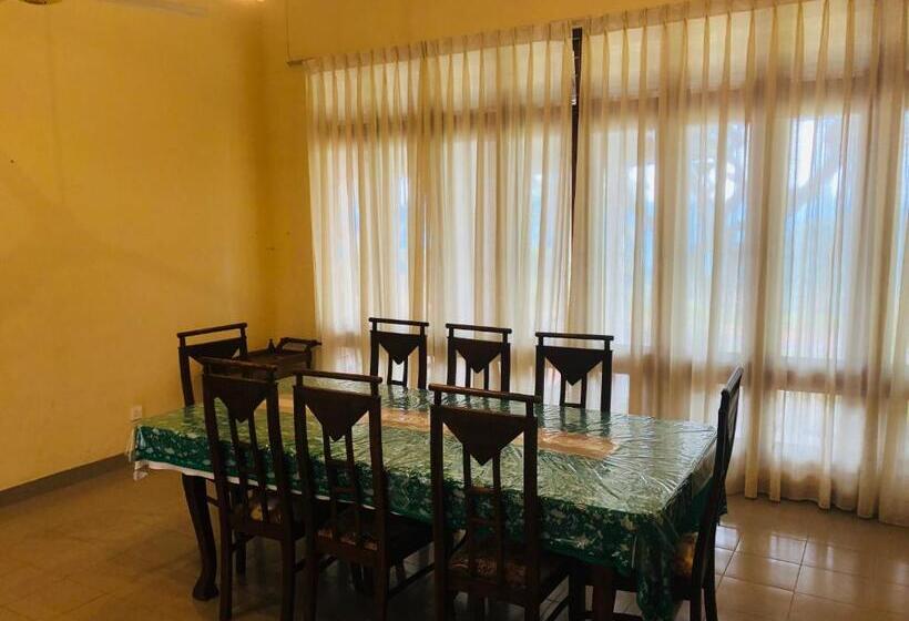 膳宿费 The Arbour Boutique Villa