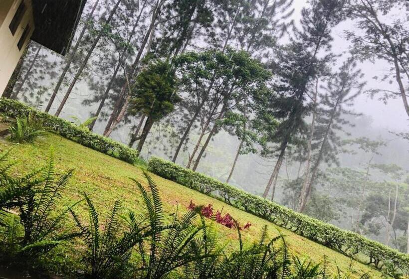 膳宿费 The Arbour Boutique Villa