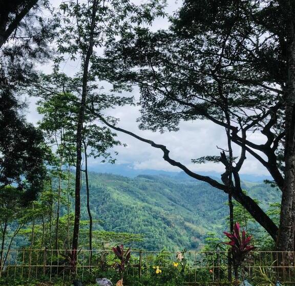 膳宿费 The Arbour Boutique Villa