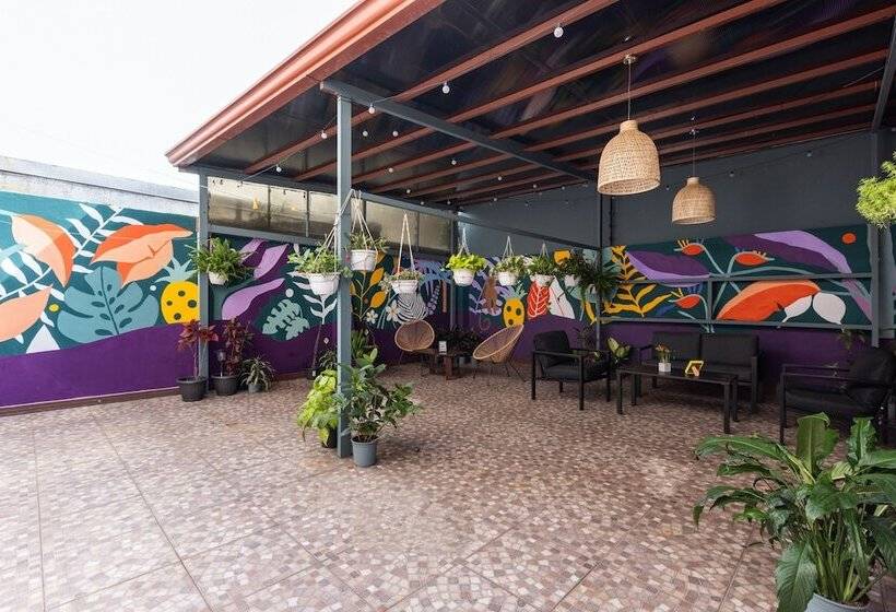 پانسیون Viva Guest House