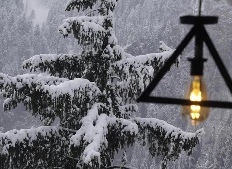 Snow Moon Cafe & Resort