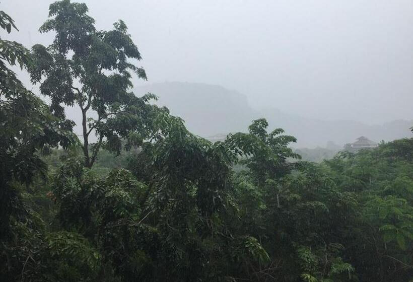 The Courtyard Khaoyai​ By Kanun